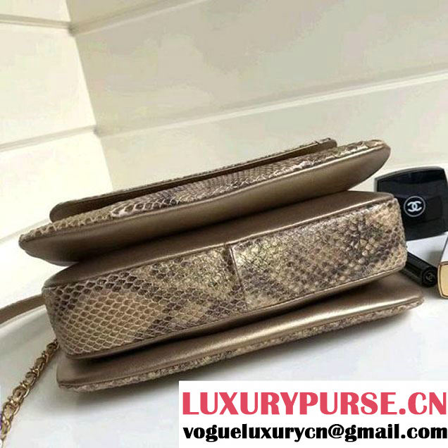Chanel Small Trendy CC Flap Bag With Top Handle In Python Leather Gold 2018 (1A111-8011210 )