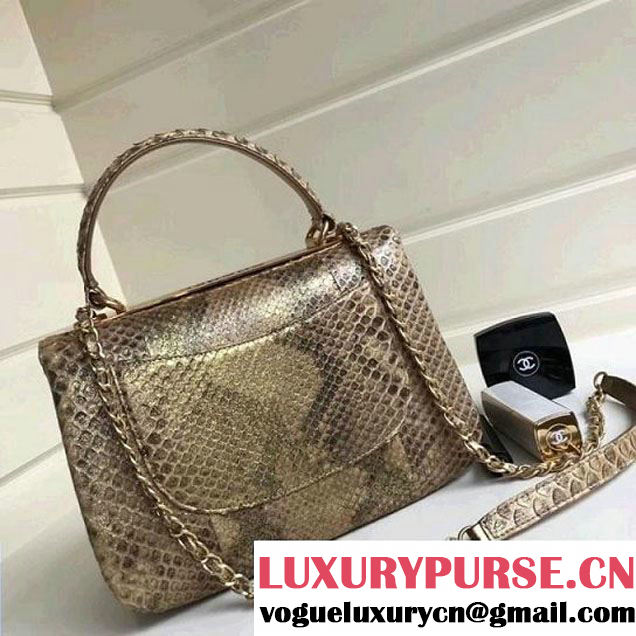 Chanel Small Trendy CC Flap Bag With Top Handle In Python Leather Gold 2018 (1A111-8011210 )