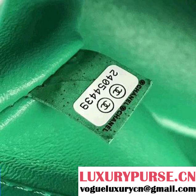 Chanel Lizard Pattern Leather Small Boy Bag Green (KN-8013021 )