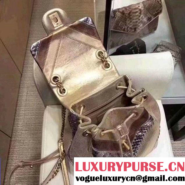 Chanel Iridescent Calfskin/Python/Grained Calfaskin Patchwork Chevron Small Backpack Gold (MK-8013131 )