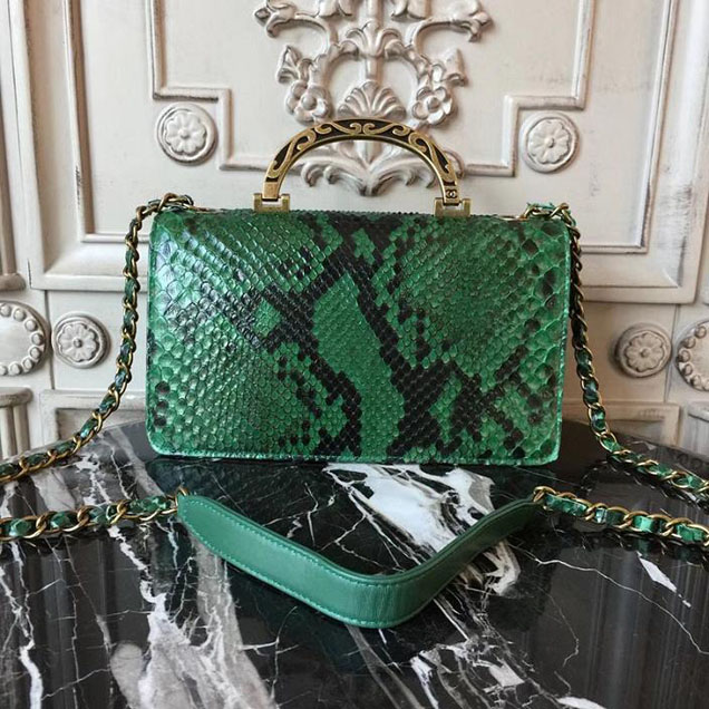Chanel Flap 24cm Bag with Enamel Handle Python Leather Fall Winter 2017 Act 2 Collection Green