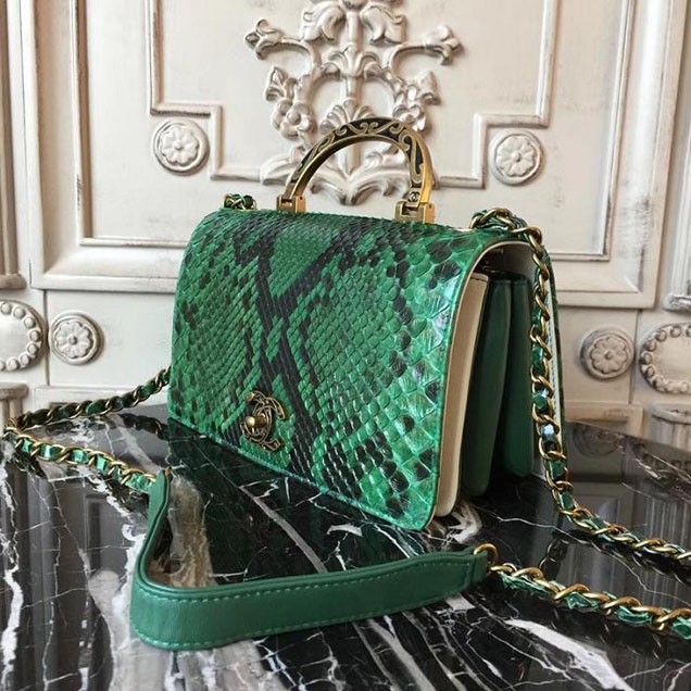 Chanel Flap 24cm Bag with Enamel Handle Python Leather Fall Winter 2017 Act 2 Collection Green