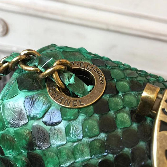 Chanel Flap 24cm Bag with Enamel Handle Python Leather Fall Winter 2017 Act 2 Collection Green