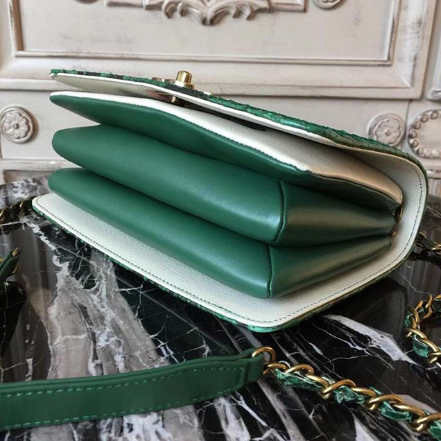 Chanel Flap 24cm Bag with Enamel Handle Python Leather Fall Winter 2017 Act 2 Collection Green