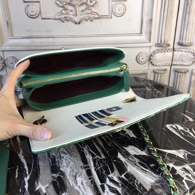 Chanel Flap 24cm Bag with Enamel Handle Python Leather Fall Winter 2017 Act 2 Collection Green