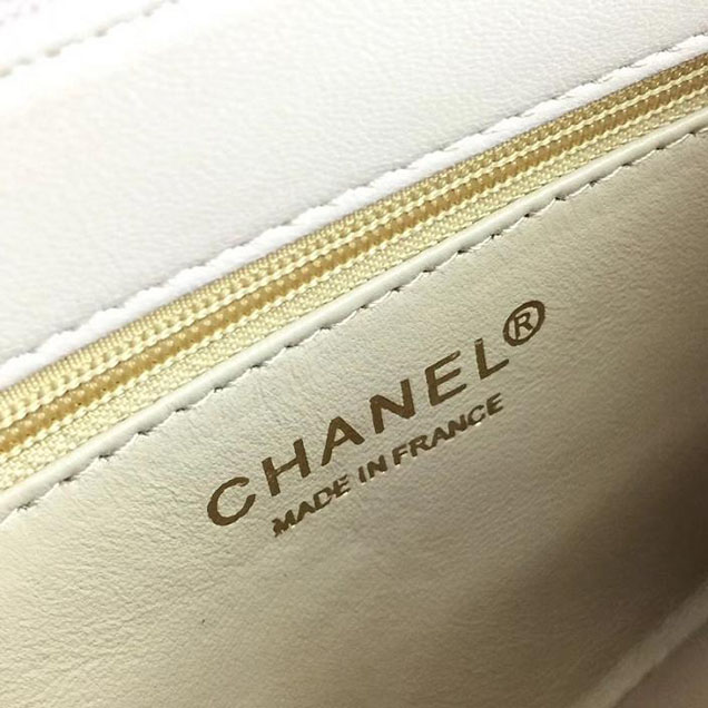 Chanel Flap 24cm Bag with Enamel Handle Python Leather Fall Winter 2017 Act 2 Collection Beige Multi