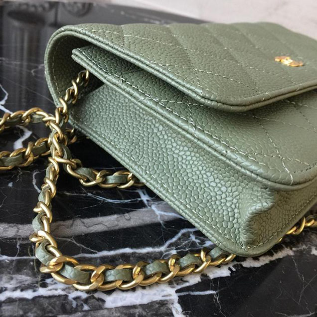 Chanel WOC Wallet on A Chain Bag Small 18cm Caviar Leather Cruise 2018 Collection Green