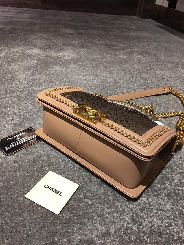 Chanel Chain Handle Bag 25cm Python Skin Leather Antique Gold Hardware Fall Winter Act 2 Collection Taupe Gold