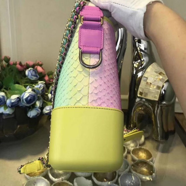 Chanel Rainbow Python Gabrielle Medium Hobo Bag A93824 2018