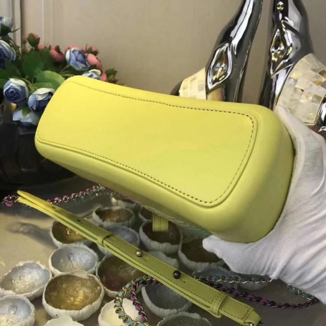 Chanel Rainbow Python Gabrielle Medium Hobo Bag A93824 2018
