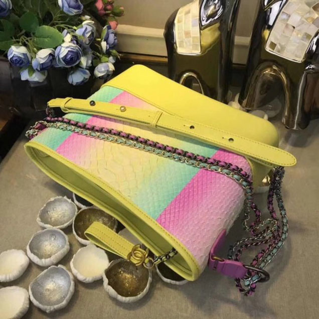 Chanel Rainbow Python Gabrielle Medium Hobo Bag A93824 2018