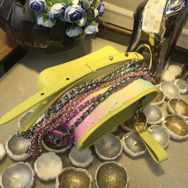 Chanel Rainbow Python Gabrielle Small Hobo Bag A91810 2018