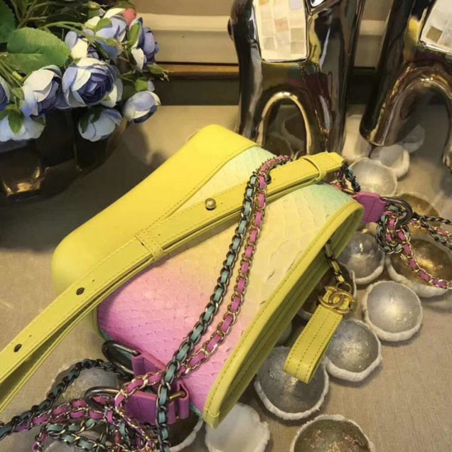 Chanel Rainbow Python Gabrielle Small Hobo Bag A91810 2018