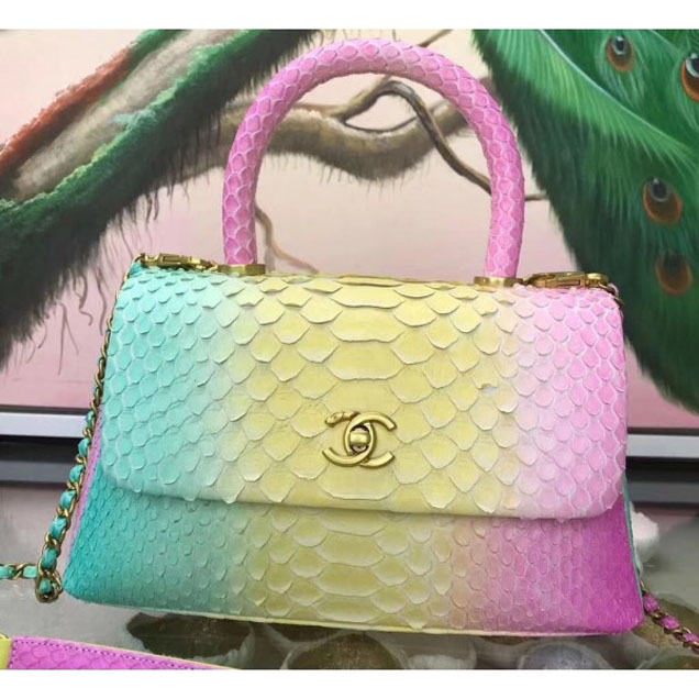 Chanel Rainbow Python Coco Top Handle Flap Shoulder Bag