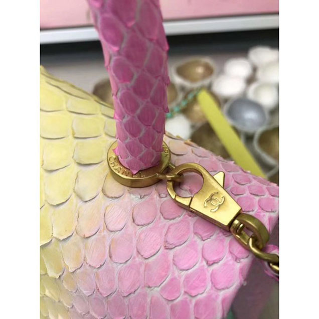 Chanel Rainbow Python Coco Top Handle Flap Shoulder Bag
