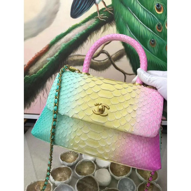 Chanel Rainbow Python Coco Top Handle Flap Shoulder Bag