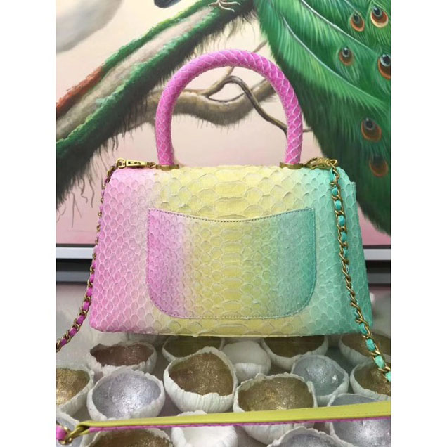 Chanel Rainbow Python Coco Top Handle Flap Shoulder Bag