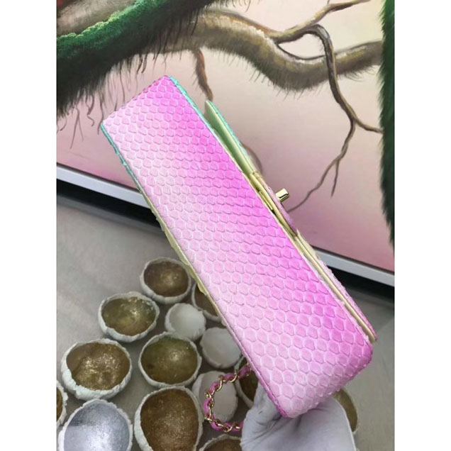 Chanel Rainbow Python Classic Flap Medium Bag