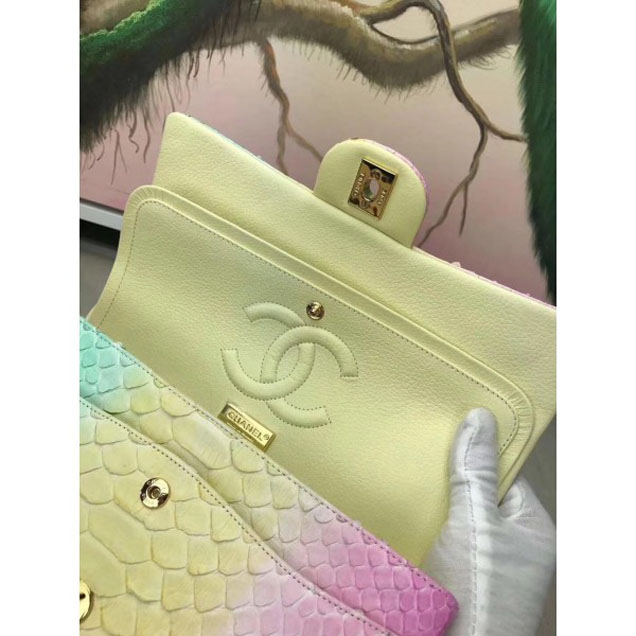 Chanel Rainbow Python Classic Flap Medium Bag