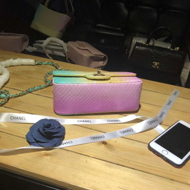 Chanel Rainbow Python Classic Flap Small Bag