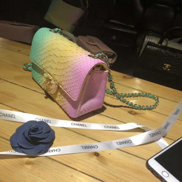Chanel Rainbow Python Classic Flap Small Bag