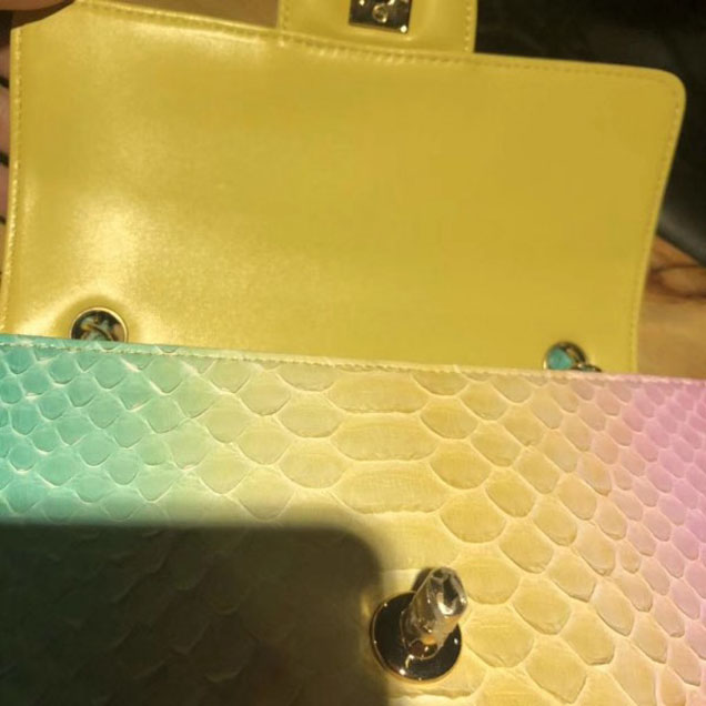 Chanel Rainbow Python Classic Flap Small Bag