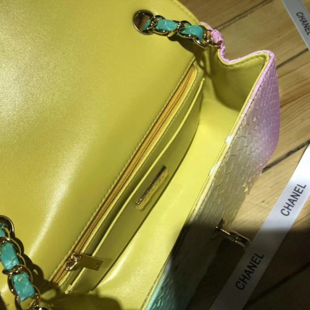 Chanel Rainbow Python Classic Flap Small Bag