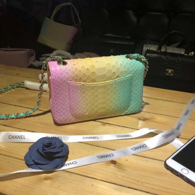 Chanel Rainbow Python Classic Flap Small Bag