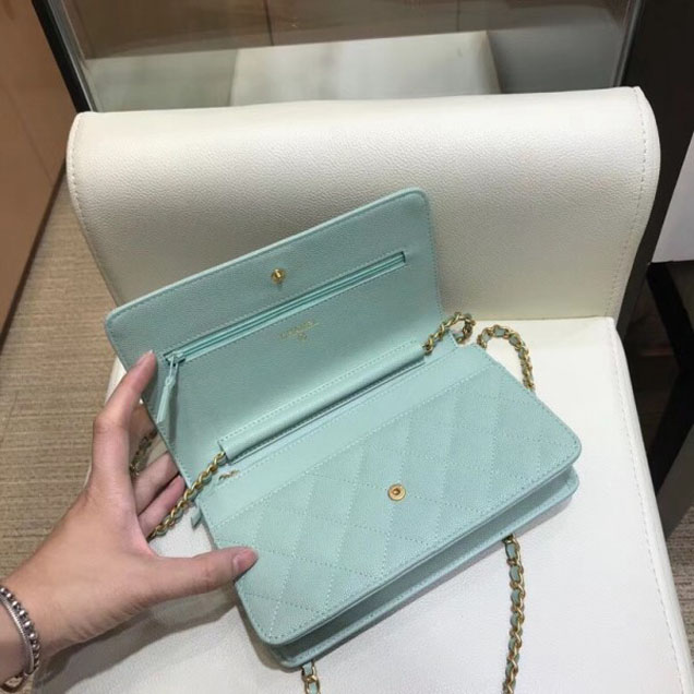 Chanel Shine Gold Hardware Caviar Boy Wallet On Chain WOC Bag Light Green 2018