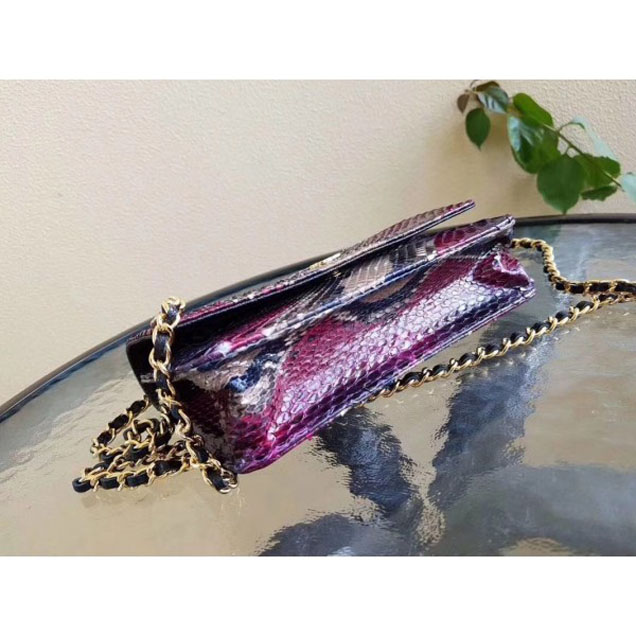 Chanel Python Wallet On Chain WOC Bag 03 2018