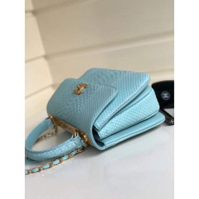 Chanel Python Trendy CC Small Flap Top Handle Bag A92236/A92723 Light Green 2018
