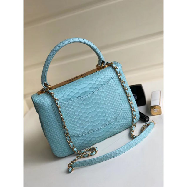 Chanel Python Trendy CC Small Flap Top Handle Bag A92236/A92723 Light Green 2018