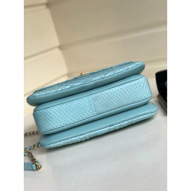 Chanel Python Trendy CC Small Flap Top Handle Bag A92236/A92723 Light Green 2018