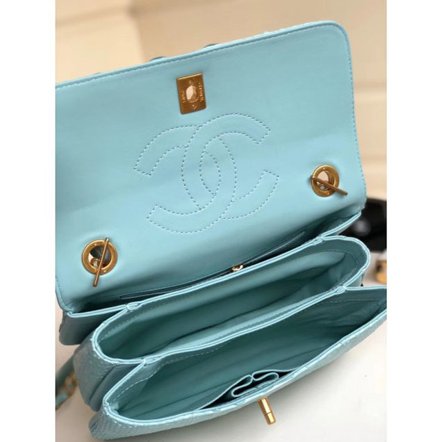 Chanel Python Trendy CC Small Flap Top Handle Bag A92236/A92723 Light Green 2018