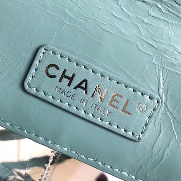 Chanel Crumpled Calfskin/PVC Aquarium Backpack Bag A57826 Light Green 2018