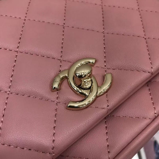 Chanel Citizen Chic Mini Flap Bag A57042 Pink 2018