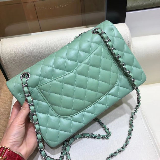 Chanel Classic Flap Medium Bag A1112 Light Green in Original Leather with Silver Hardware 2018