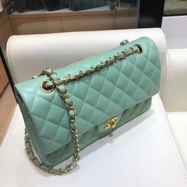 Chanel Classic Flap Medium Bag A1112 Light Green in Original Leather with Gold Hardware 2018