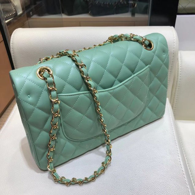 Chanel Classic Flap Medium Bag A1112 Light Green in Original Leather with Gold Hardware 2018