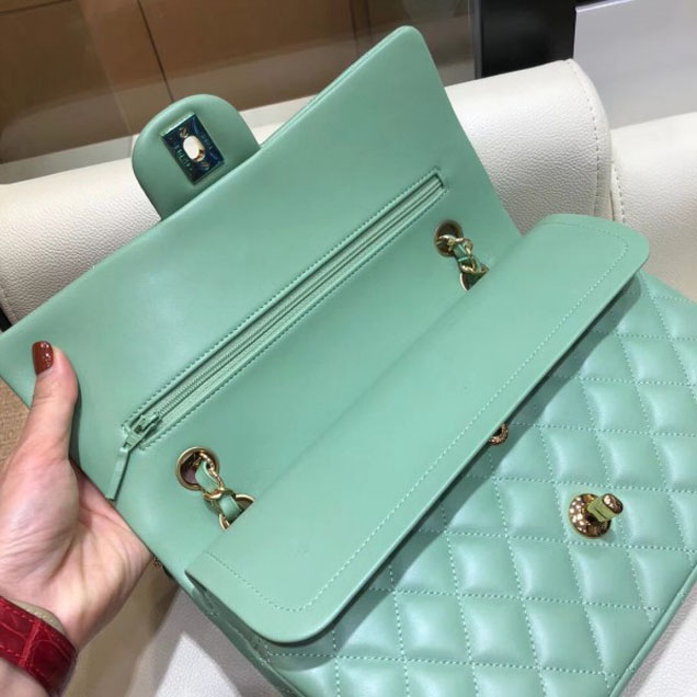 Chanel Classic Flap Medium Bag A1112 Light Green in Original Leather with Gold Hardware 2018