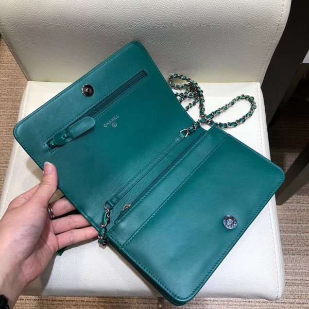 Chanel Fringe Calfskin Wallet On Chain WOC Bag A84444 Green 2018