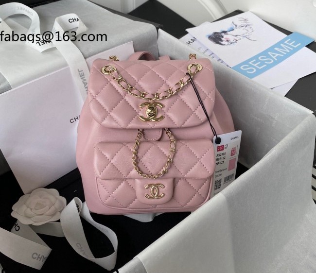 Chanel Lambskin Duma Backpack AS2908 Pink 2022