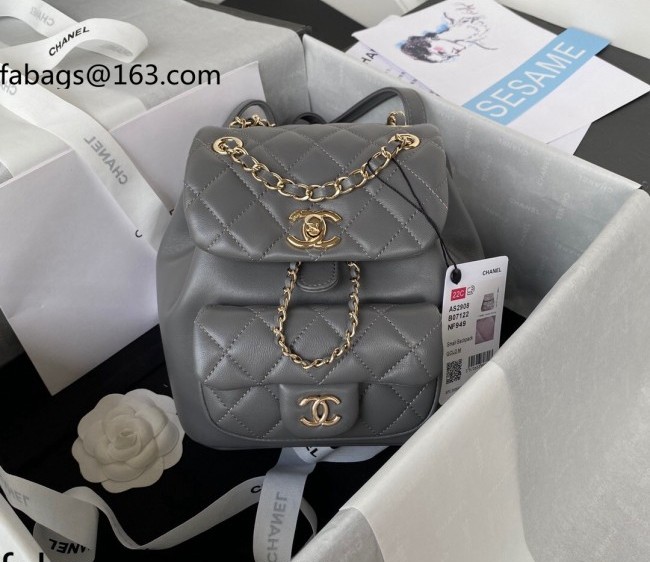 Chanel Lambskin Duma Backpack AS2908 Gray 2022