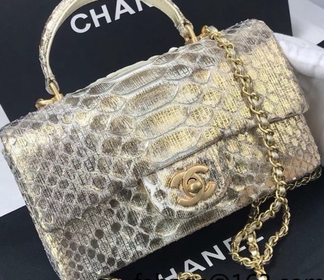 Chanel Python Embossed Mini Flap Bag with Top Handle AS2431 Gold/Gray 2022 24