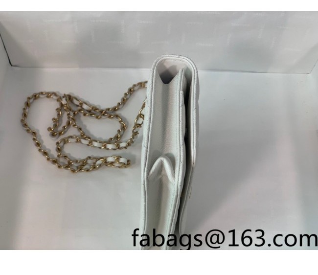 Chanel Grained Calfskin Wallet on Chain WOC with Chain Top Handle AP2804 White 2022