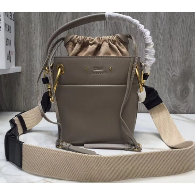 Chloe Smooth Calfskin Mini Roy Bucket Bag Gray 2018