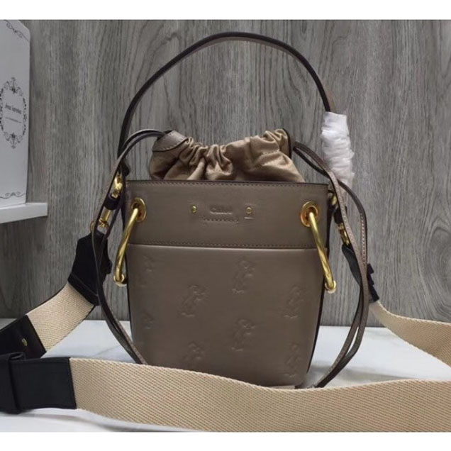 Chloe Smooth Calfskin Mini Roy Bucket Bag Stamped Little Horses Gray 2018