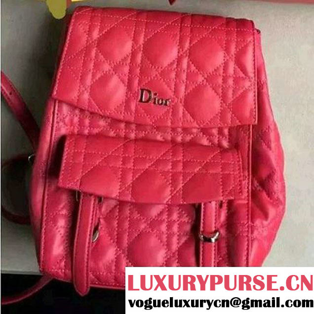 Dior Lambskin Small Stardust Backpack Rosy 2016 (1A076-6060611 )