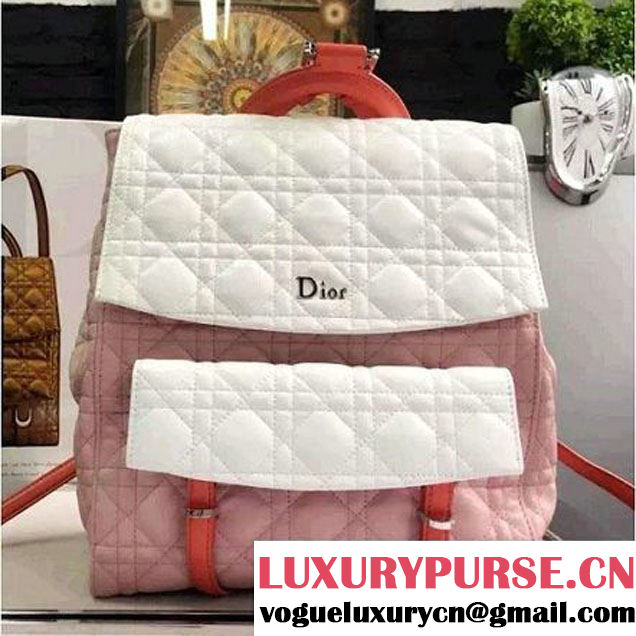 Dior Lambskin Large Stardust Backpack Pink/White 2016 (1A076-6060613 )