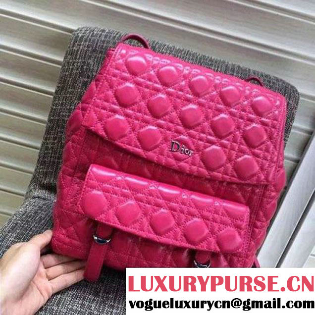 Dior Lambskin Large Stardust Backpack Rosy 2016 (XXG-6070132 )